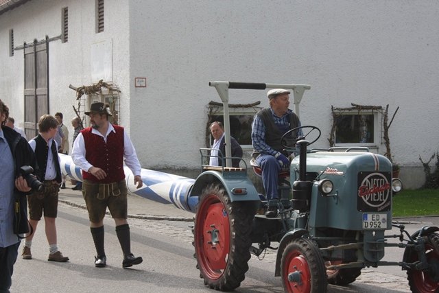 Maibaum 2013